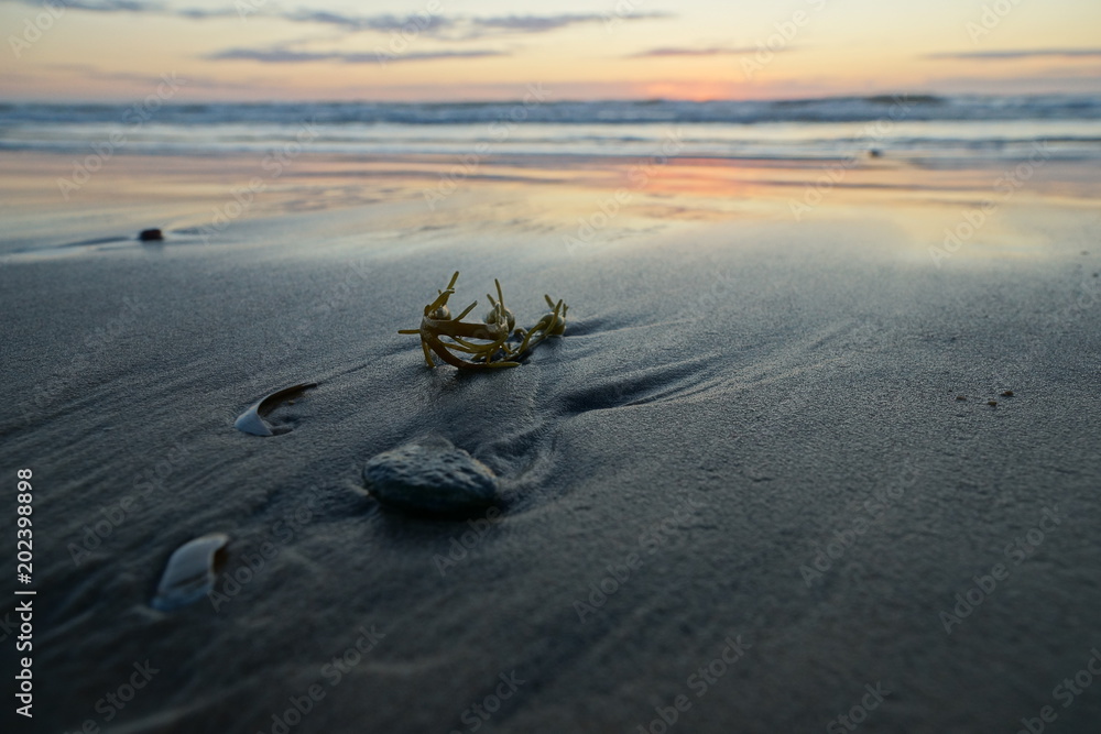 Φωτογραφία Am Nordseestrand