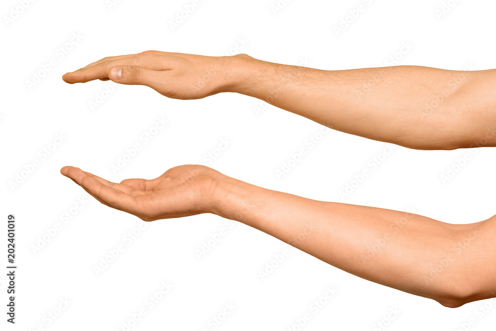 Male hands holding between them, isolated on white Male hands holding between them, isolated on white