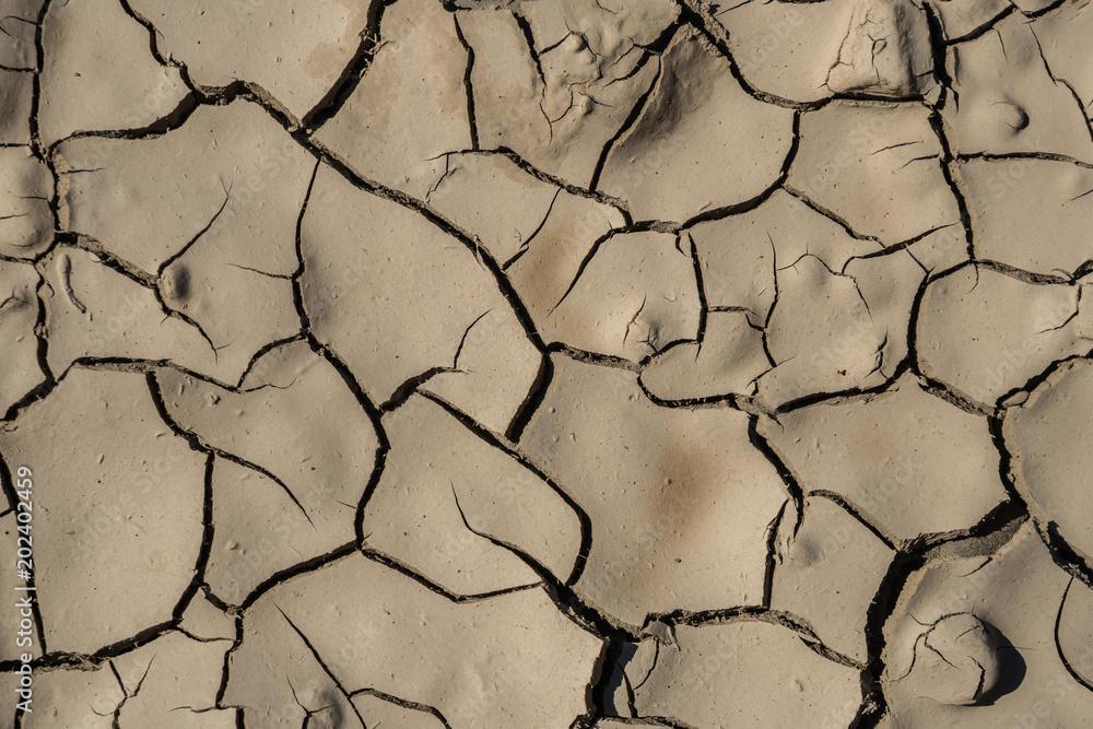 Details of cracked dried mud in sunlight, texture Details of cracked dried mud in sunlight, texture