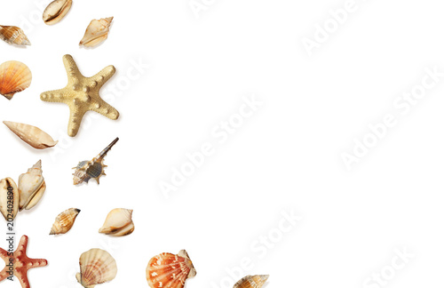Composition with sea shells and starfish on white. Summer background. Flat lay, top view 