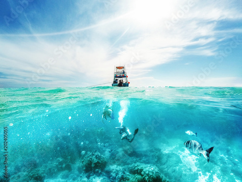Canvas-taulu Divers and Boat in the Caribbean Sea