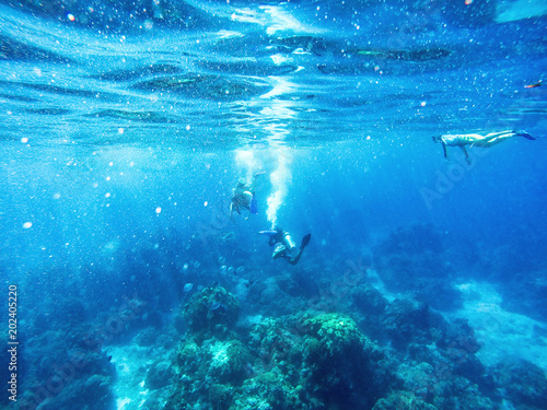 Divers and Snorklers in Caribbean Sea
