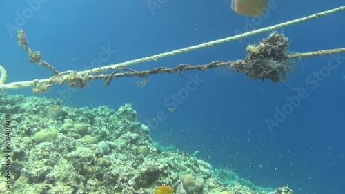 ropes on reef dahab