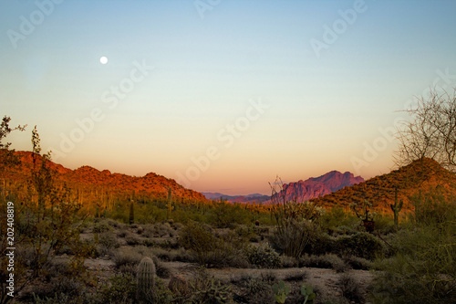 Sun Setting over the Sonora Desert