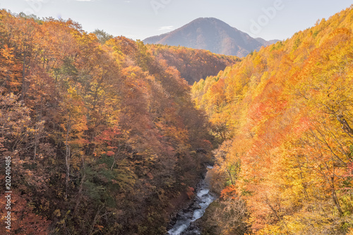 Nakatsugawa gorge at Fukushima in autumn