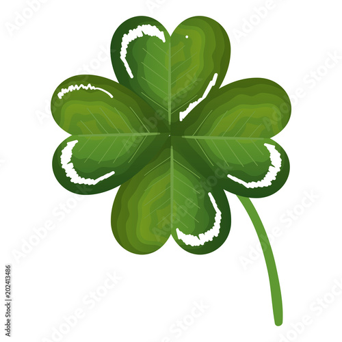 saint patrick clover icon vector illustration design