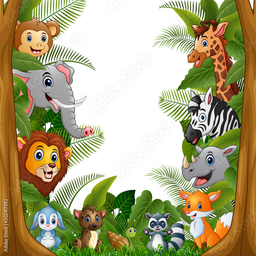 Photography Animals forest meet together in frame