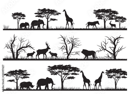 Animals forest silhouette at savanah