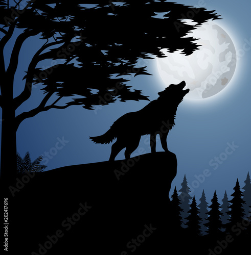 Silhouette wolf in hill at night