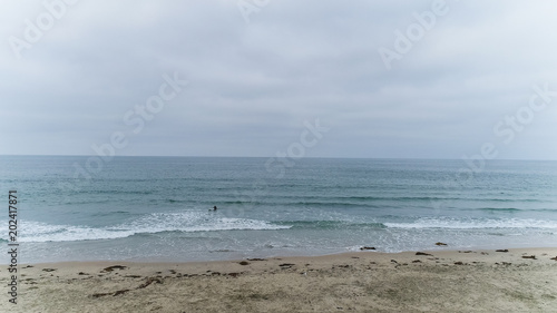 Landscape of Newport Beach  Orange County  California