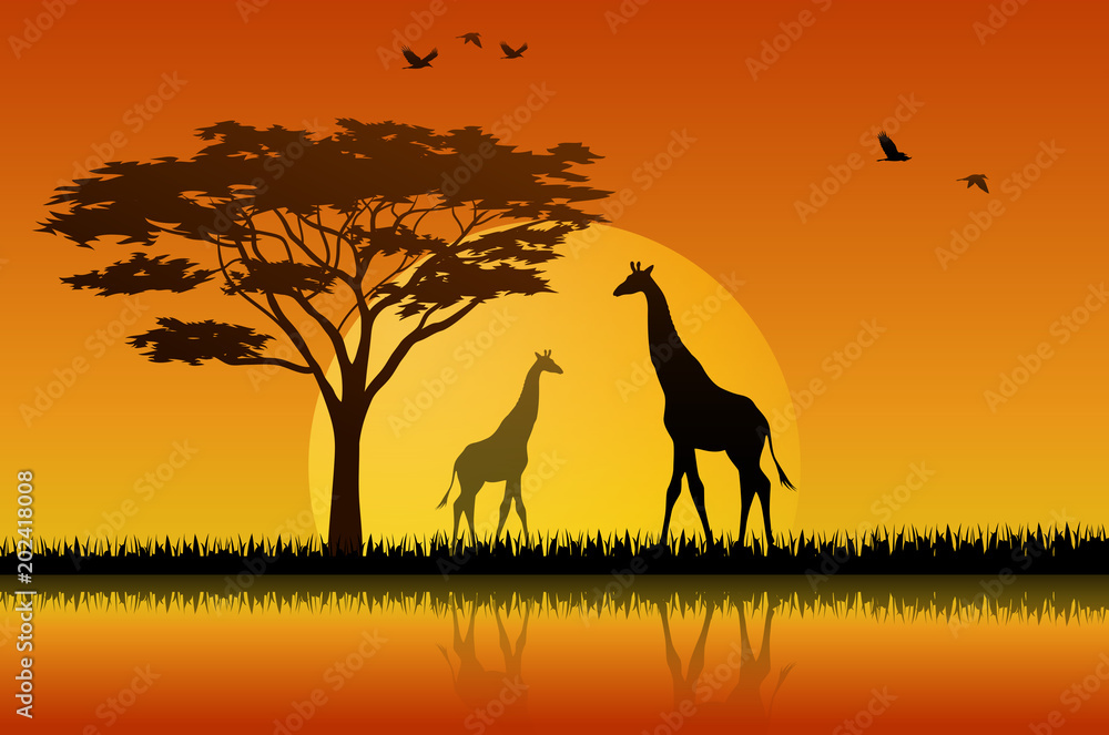 Silhouette giraffe at lake of savanah 