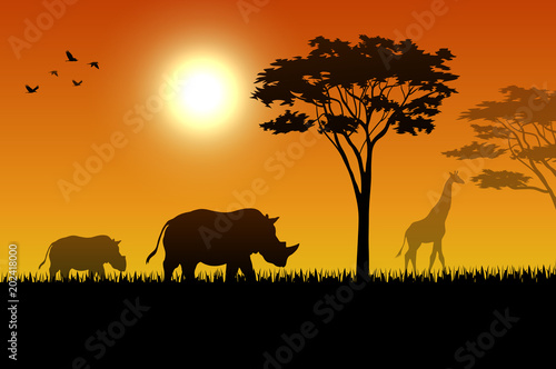 Silhouette of rhino at savanah  © dreamblack46