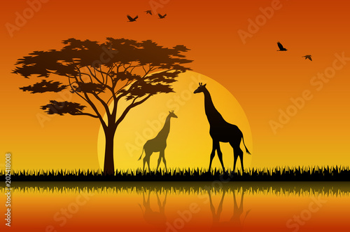 Silhouette giraffe at lake of savanah  © dreamblack46