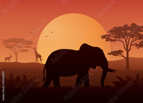 Silhouette animals on evening at savanah