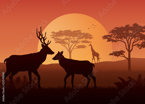 Silhouette animals on evening at savanah © dreamblack46