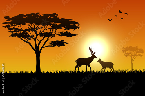Silhouette  of deer at savanah 