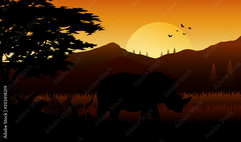 Silhouette of rhinos at savanah