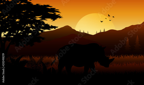 Silhouette of rhinos at savanah