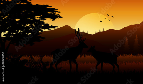 Animals silhouette at sutset