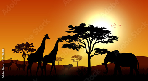 Silhouette animals savannas in the afternoon