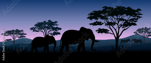 Silhouette animals savannas in the night