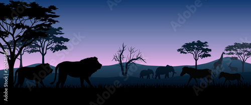 Silhouette animals savannas in the night