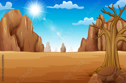 Summer wilderness on daylight