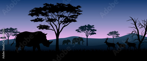 Photography Silhouette animals on savannas in night