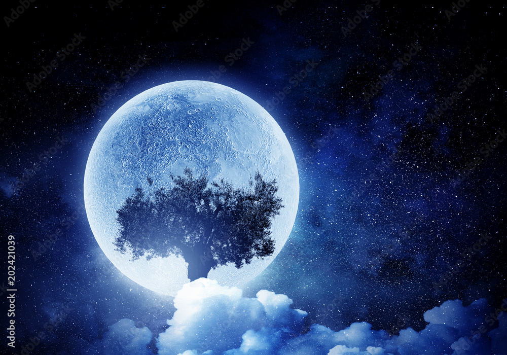 Obraz premium Lonely tree in night