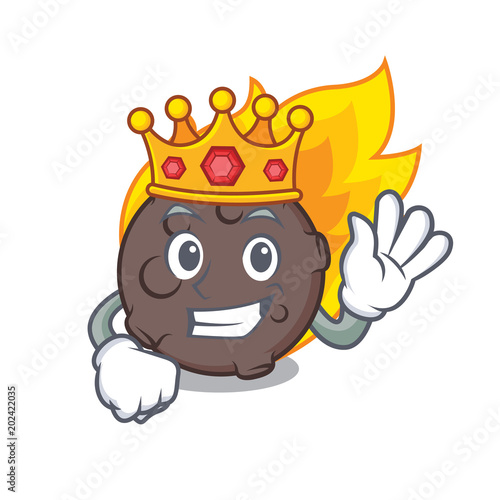 King meteorite mascot cartoon style