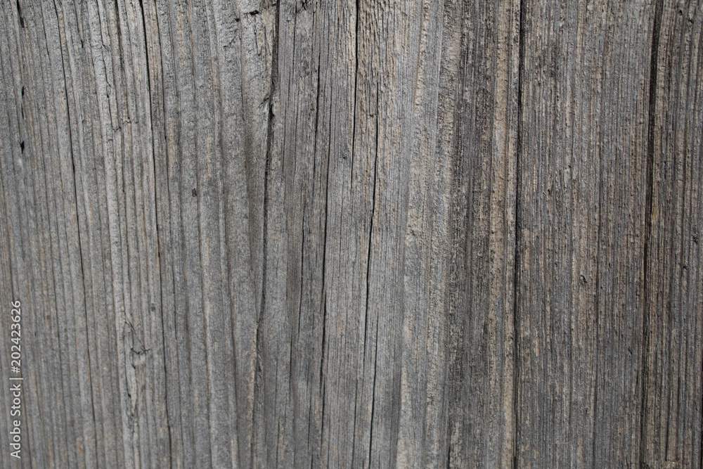 Old wood texture. Abstract background with natural wood pattern. Close-up. Old wood texture. Abstract background with natural wood pattern. Close-up.