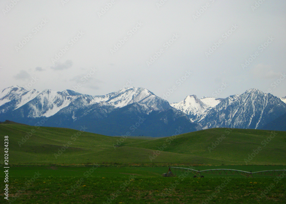 Montana Mountains III