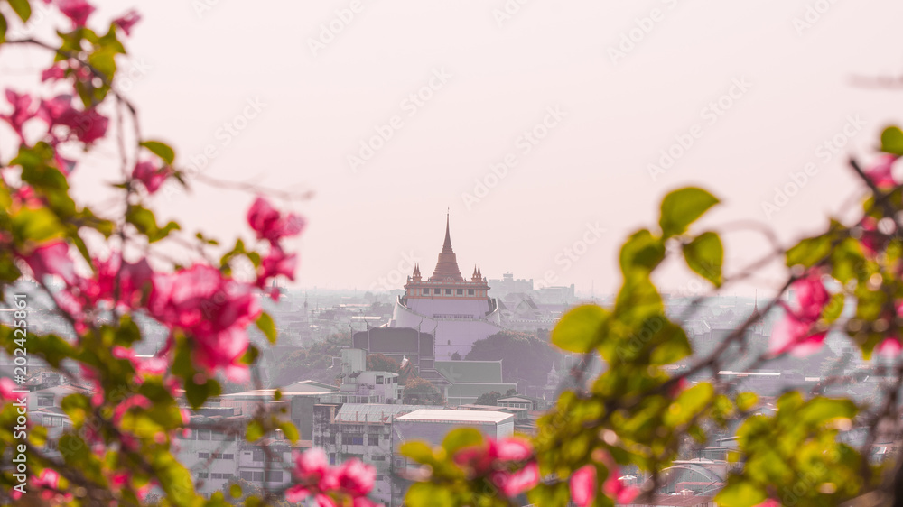 Close up , Temple of the Golden Mount Bangkok