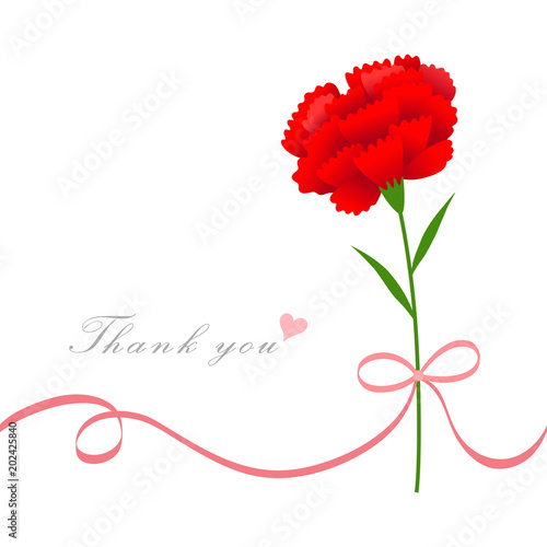Red carnation flower with ribbon.Greeting card