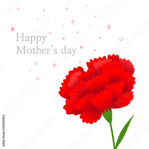 Fototapeta Naklejka Na Ścianę i Meble -  Red carnation flower.Mother's day greeting card