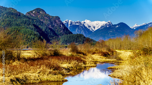 Snow covered peaks of the Coast Mountains surrounding the Pitt River and Pitt Lake in the Fraser Valley of British Columbia, Canada on a clear winter day