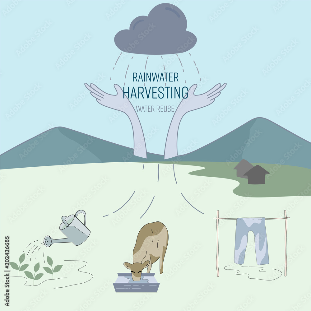 Rainwater harvesting for household water use in rural area. Water reuse,  save water concept. Vector illustration. Stock Vector | Adobe Stock
