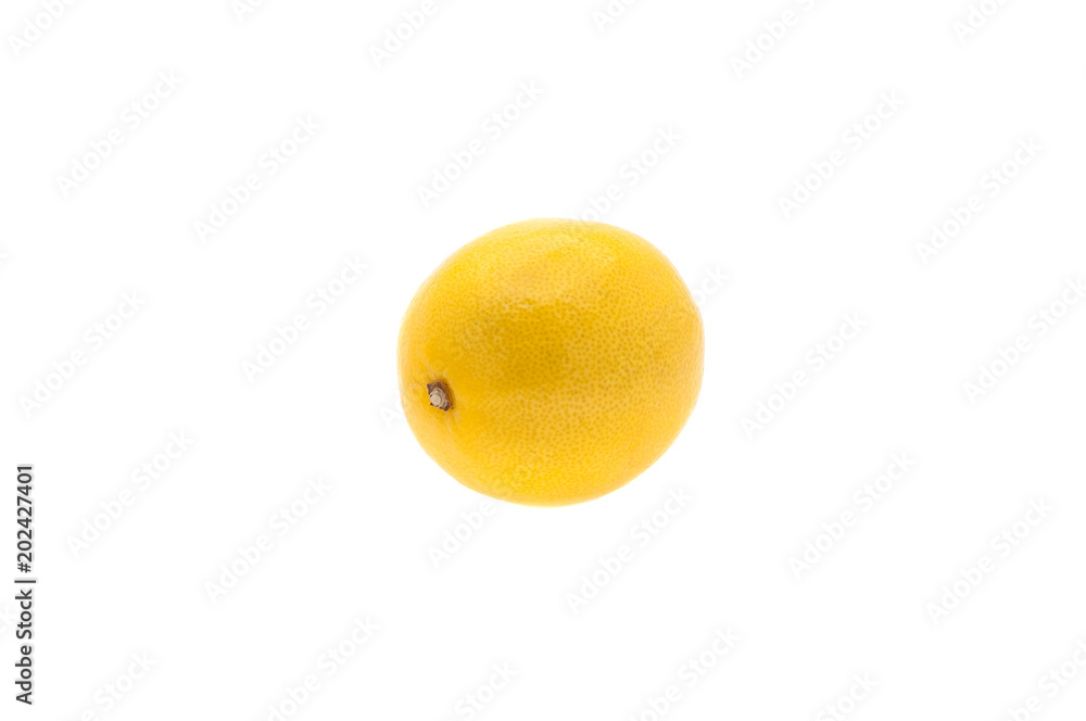 Creative layout made of one lemon. Food concept. Lemon on white Creative layout made of one lemon. Food concept. Lemon on white