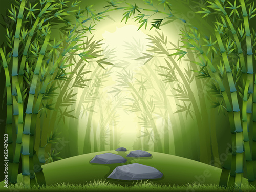 Background scene with bamboo forest