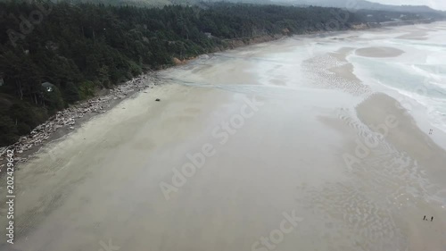 Beach and forest aerial view
