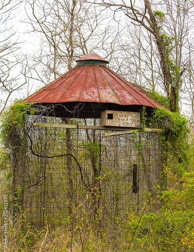 Fotografie Weathered old storage/housing in the midst of the wetlands