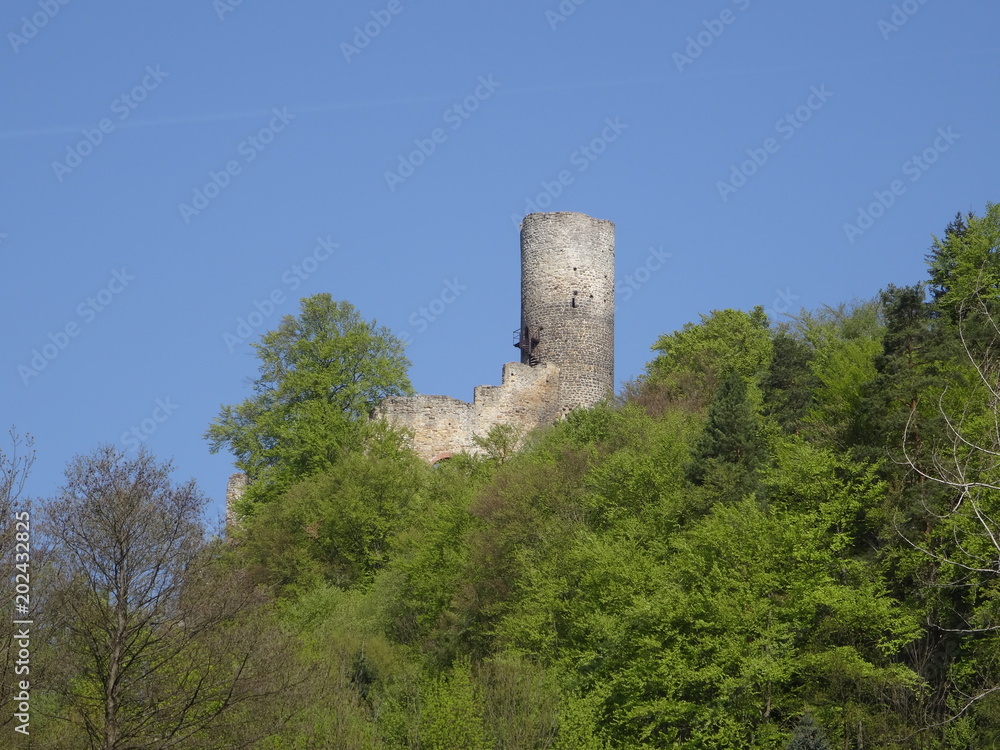 View on Frydstejn castle ruin, Mala skala, Bohemian paradise, Czech republic
