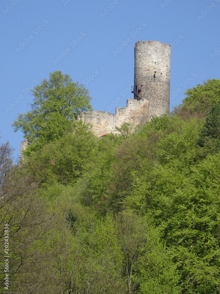 View on Frydstejn castle ruin, Mala skala, Bohemian paradise, Czech republic View on Frydstejn castle ruin, Mala skala, Bohemian paradise, Czech republic