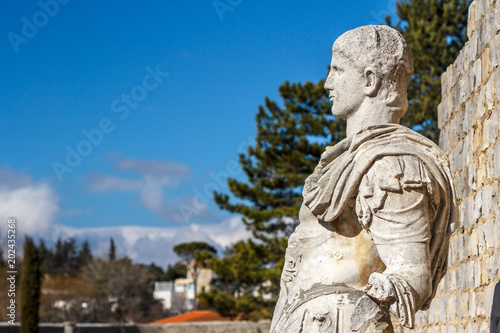 Roman ruins in Vaison-la-Romaine town  Provence  France