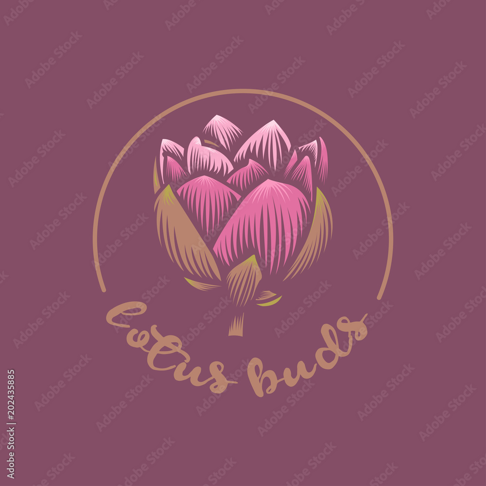 lotus vector, lotus logo concept vector illustration lotus vector, lotus logo concept vector illustration