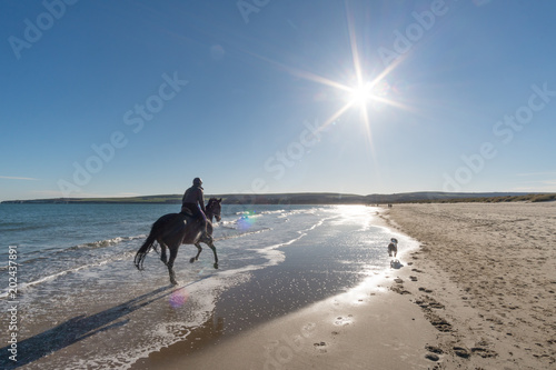 Horse riding through beach surf in Studland Dorset