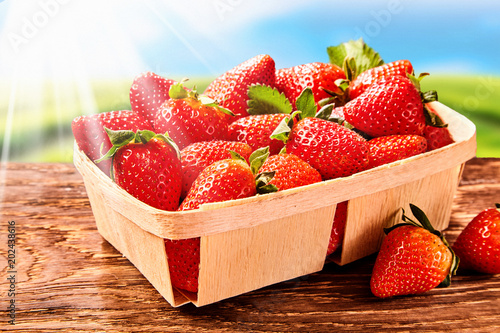 Punnet of juicy large ripe strawberries photo