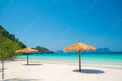 Beach Umbrella made of leafs on white beach in front of Sea day time blue sky wide shot background © happystock