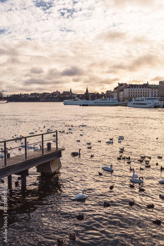 Ταπετσαρία stockholm city scape