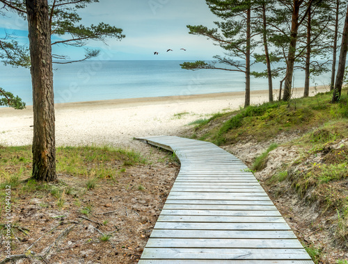Fototapeta Naklejka Na Ścianę i Meble -  Wooden footpath is leading to the sandy beach of the Baltic Sea. In the Baltic countries tourism is mostly targeted at a human health maintenance . 
